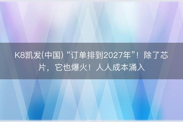 K8凯发(中国) “订单排到2027年”!除了芯片,它也爆火!人人成本涌入