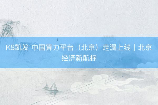 K8凯发 中国算力平台(北京)走漏上线|北京经济新航标