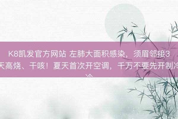 K8凯发官方网站 左肺大面积感染，须眉邻接3天高烧、干咳！夏天首次开空调，千万不要先开制冷