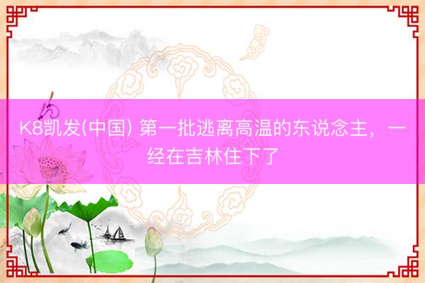K8凯发(中国) 第一批逃离高温的东说念主,一经在吉林住下了