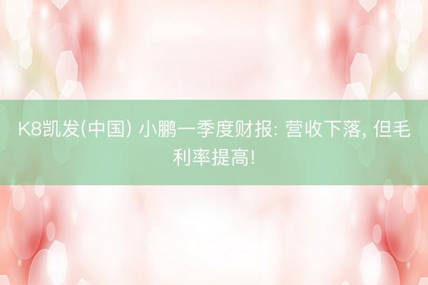 K8凯发(中国) 小鹏一季度财报: 营收下落， 但毛利率提高!