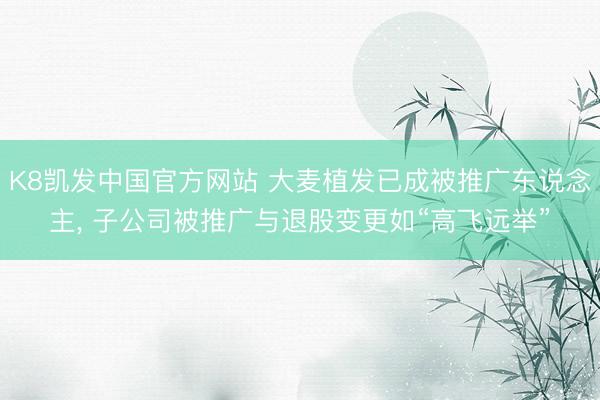 K8凯发中国官方网站 大麦植发已成被推广东说念主， 子公司被推广与退股变更如“高飞远举”