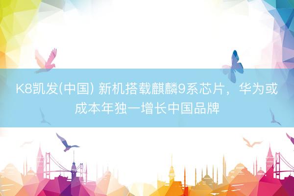 K8凯发(中国) 新机搭载麒麟9系芯片，华为或成本年独一增长中国品牌