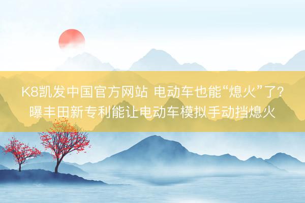 K8凯发中国官方网站 电动车也能“熄火”了?曝丰田新专利能让电动车模拟手动挡熄火