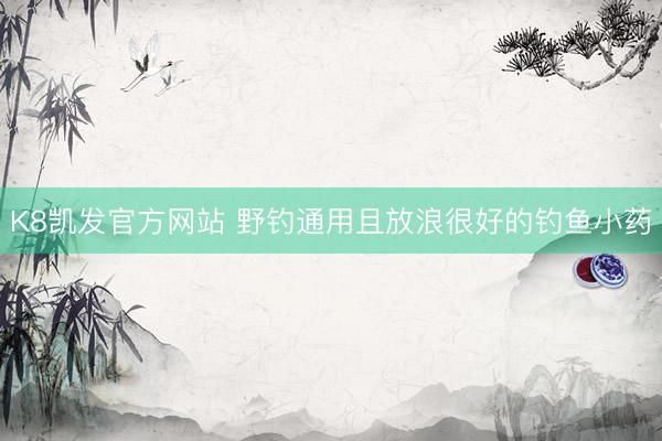 K8凯发官方网站 野钓通用且放浪很好的钓鱼小药