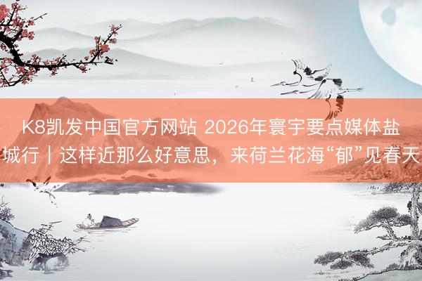 K8凯发中国官方网站 2026年寰宇要点媒体盐城行｜这样近那么好意思，来荷兰花海“郁”见春天
