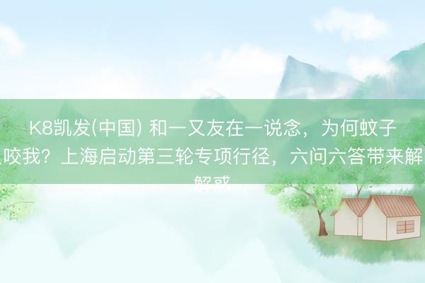 K8凯发(中国) 和一又友在一说念，为何蚊子只咬我？上海启动第三轮专项行径，六问六答带来解惑