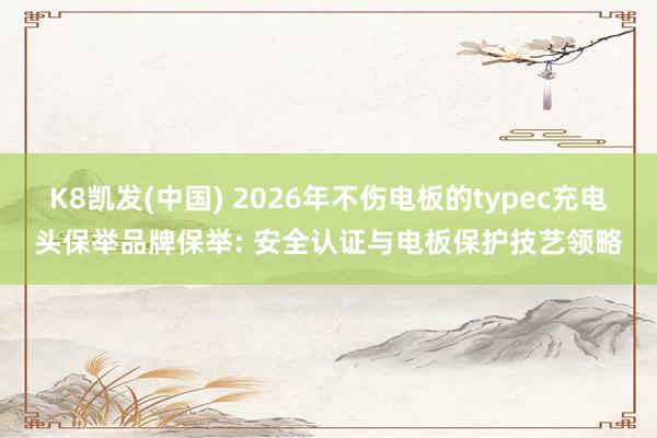 K8凯发(中国) 2026年不伤电板的typec充电头保举品牌保举: 安全认证与电板保护技艺领略