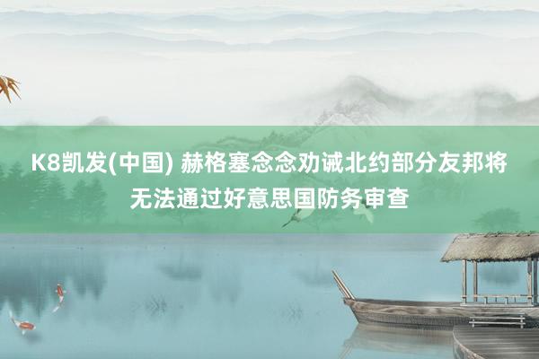 K8凯发(中国) 赫格塞念念劝诫北约部分友邦将无法通过好意思国防务审查