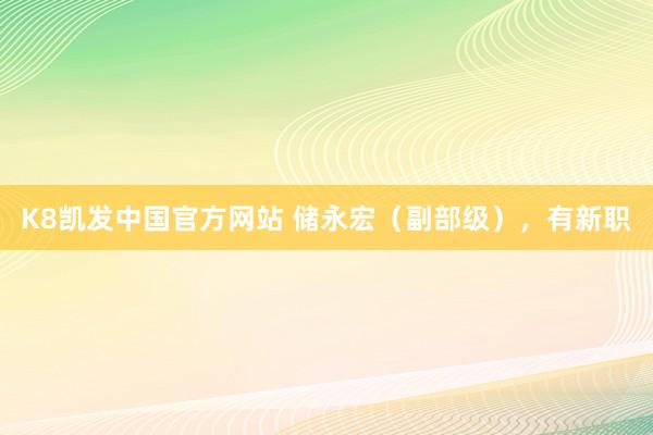 K8凯发中国官方网站 储永宏(副部级),有新职